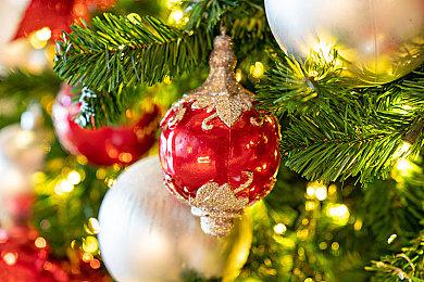 一起庆祝《胡闹厨房》五周年 《胡闹厨房：全都好吃》免费生日更新上线